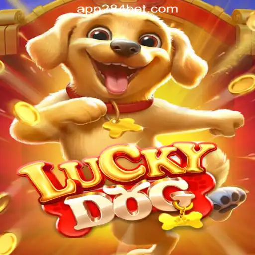 Delve into the Excitement of LuckyDog with 284bet.COM Oficial Slots Brasil #1